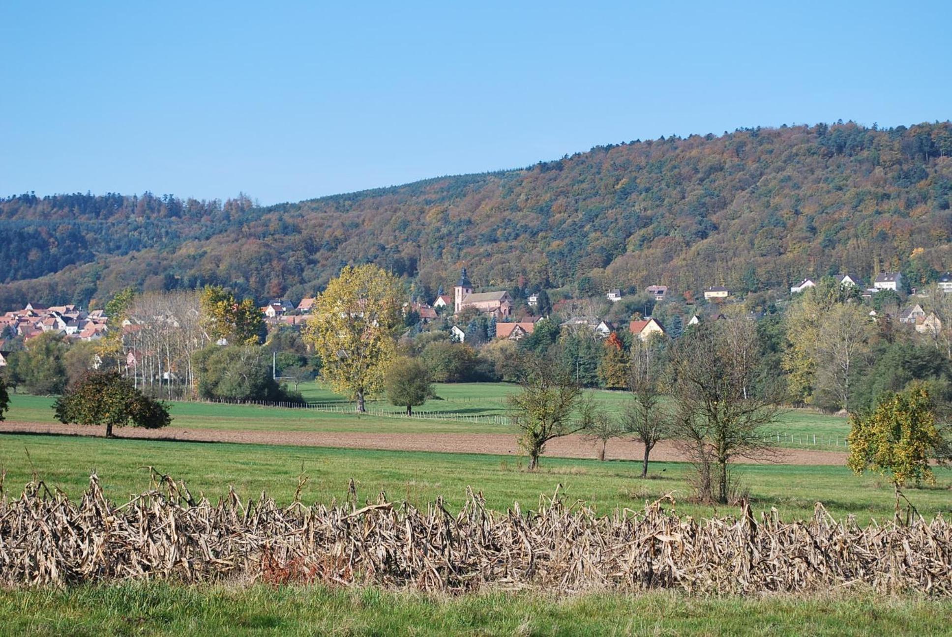 Hotel Restaurant Kleiber Saint-Jean-Saverne Exteriör bild